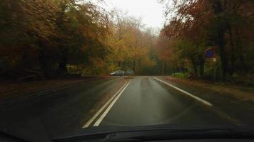 guida su una bella strada forestale autunnale piovosa, foto stock di brian holm nielsen video