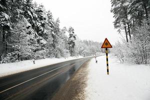 winter season. track. photo