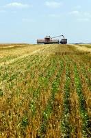 Harvester in the field photo