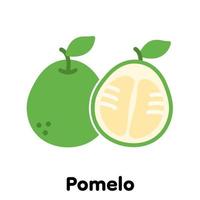 Pomelo fruit icon, Vector, Illustration. vector