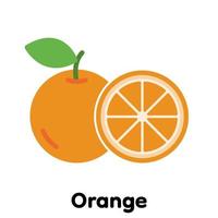 Orange icon, Vector, Illustration. vector