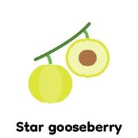 Star gooseberry icon, Vector, Illustration. vector