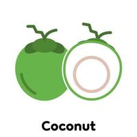Coconut icon, Vector, Illustration. vector