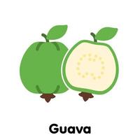 icono de fruta de guayaba, vector, ilustración. vector