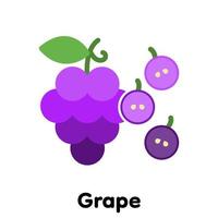 Grape icon, Vector, Illustration. vector