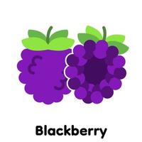 Blackberry icon, Vector, Illustration. vector