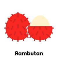 Rambutan icon, Vector, Illustration . vector