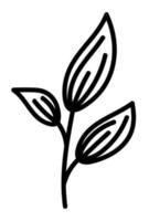 Doodle cute branch with leaves decorative element. Botanical vector illustration design, isolated hand drawn black flat element.