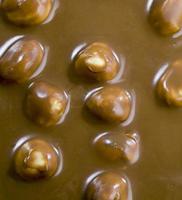 hazelnuts in chocolate photo