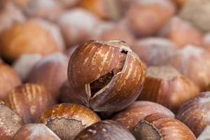 split hazelnuts on the table photo