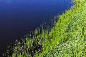 water in the river in autumn photo