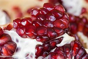 pomegranate grain, close up photo