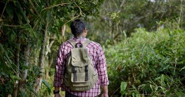 Rear back view of hiker man wearing eyeglasses with backpack holding water drink bottle walking on trail through green park video