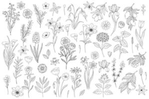 establecer una línea elegante abstracta de flores y hojas. silueta de arte de línea boho continua de ilustraciones florales vector