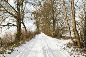 Rural winter road photo