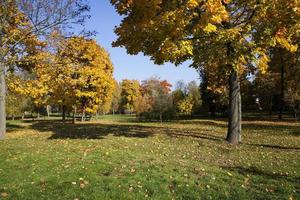 bosque de otoño. bielorrusia foto