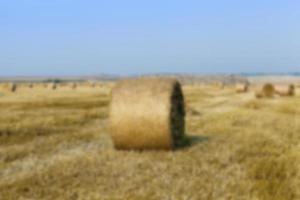 stack of straw in the field photo