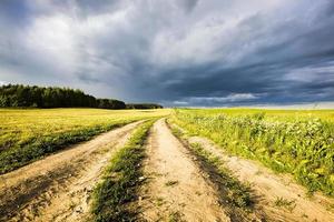 field and road photo