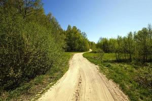 Dirt road in forest photo