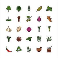 Bundle of spices and herbs flat color icon vector set