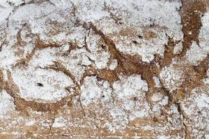 dark bread, close up photo