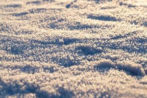 After snowfall, close up photo