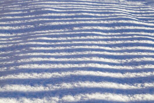 thin and long striped shadows photo