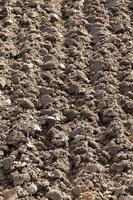 plowed land, close-up photo