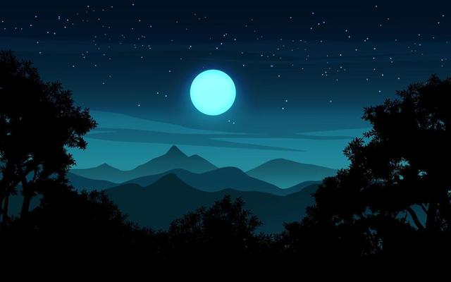Starry night landscape with trees, grass and the moon