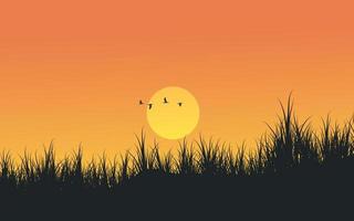 Sunset background with grass and birds in silhouette vector