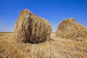 two bales of hay photo