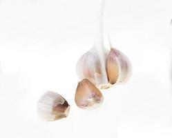 cloves of garlic photo