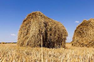 two bales of hay photo