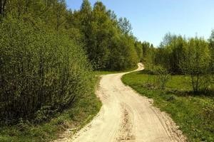 Dirt road . forest. photo