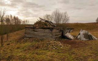 Collapsed wooden outbuilding photo