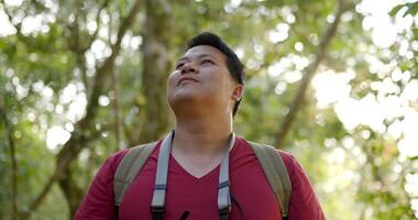 Close up, Portrait Young tourist man wearing casual clothing with backpack standing and looking around with smile and happy in forest video