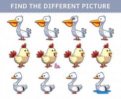 Education game for children find the different picture in each row cute cartoon pelican chicken swan vector