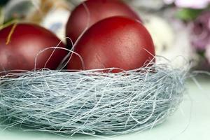 flowering willow, eggs for Easter celebration photo