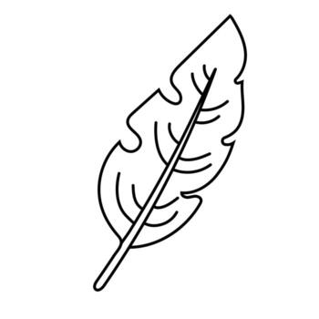 Tropical palm leave in sketch style, isolated vector illustration. Leave of palm tree in linear doodle style. Botanical minimalist print of exotic leave, sketch design.