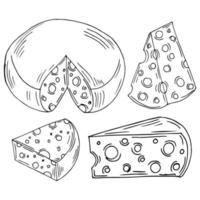 Cheese hand drawn vector illustrations. Farm market product. Healthy eating. Organic food illustration. Isolated Cheese set.