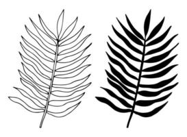 hojas de palma tropical en estilo boceto, ilustración vectorial aislada. hoja de palmera en estilo de garabato lineal. impresión botánica minimalista de hojas exóticas, diseño de bocetos. vector