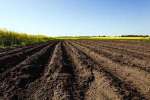 cielo y campo de agricultura foto