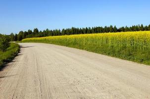 rural road and sky photo