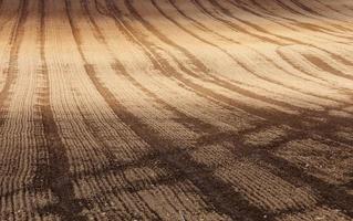 brown soil, close up photo