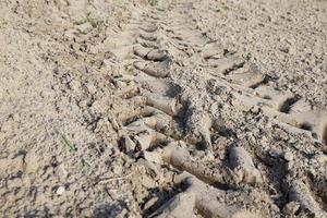 Wheel tracks on the field photo