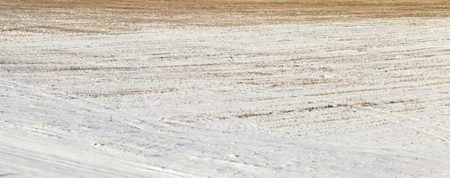 field covered with snow photo