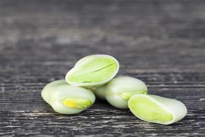 harvested bean, close up photo