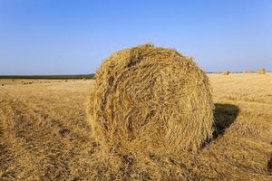 straw stack close up photo