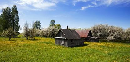 la casa en un campo foto