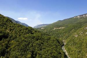 tree-covered mountain surface in summer photo